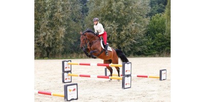 Cavaletti
